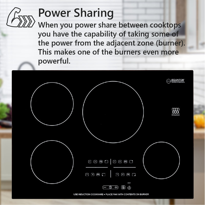 Equator 30" Builtin Induction Cooktop 220V with 4 Burner & Reviews